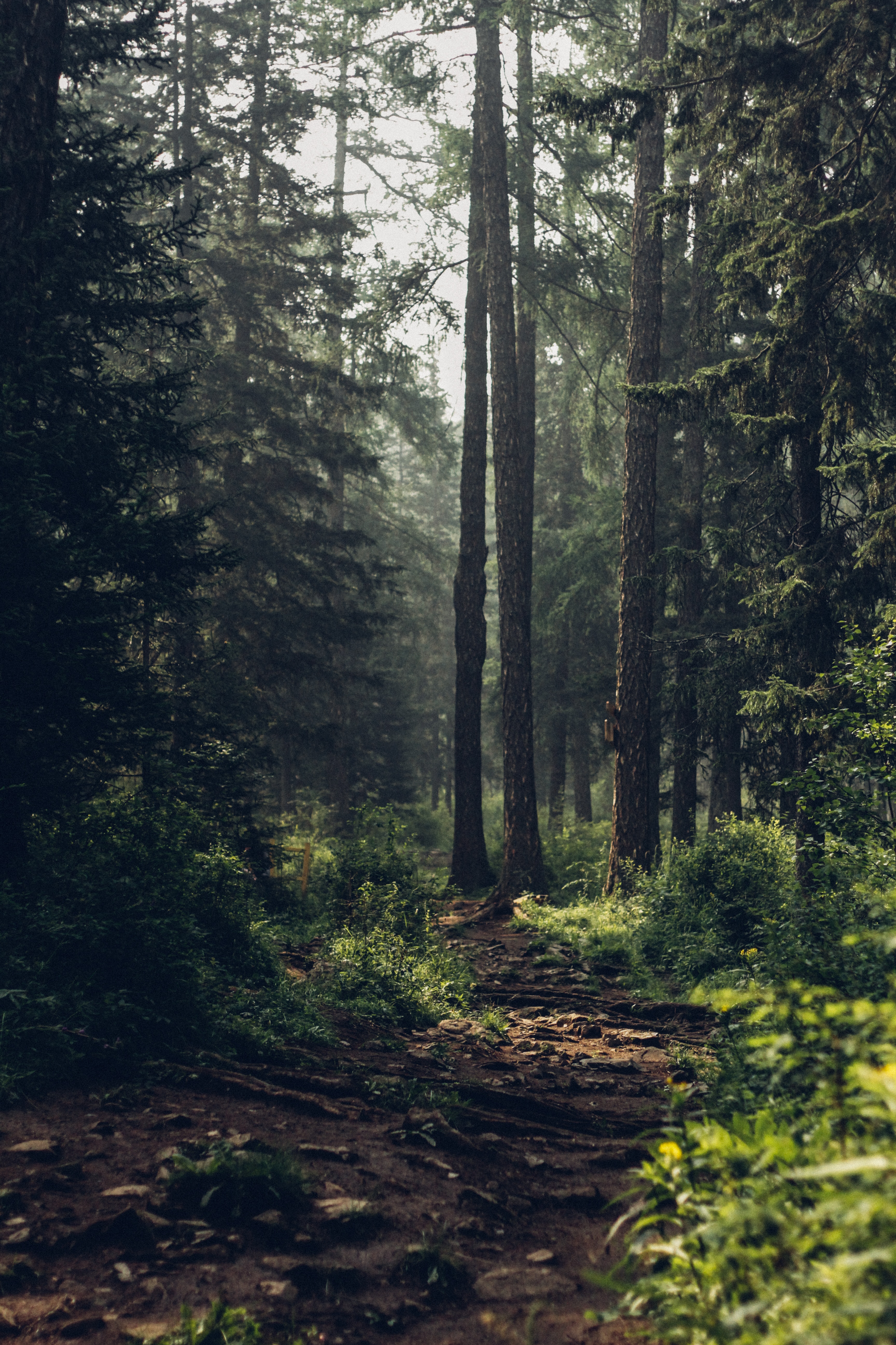 degleex-wQImoykAwGs-unsplash