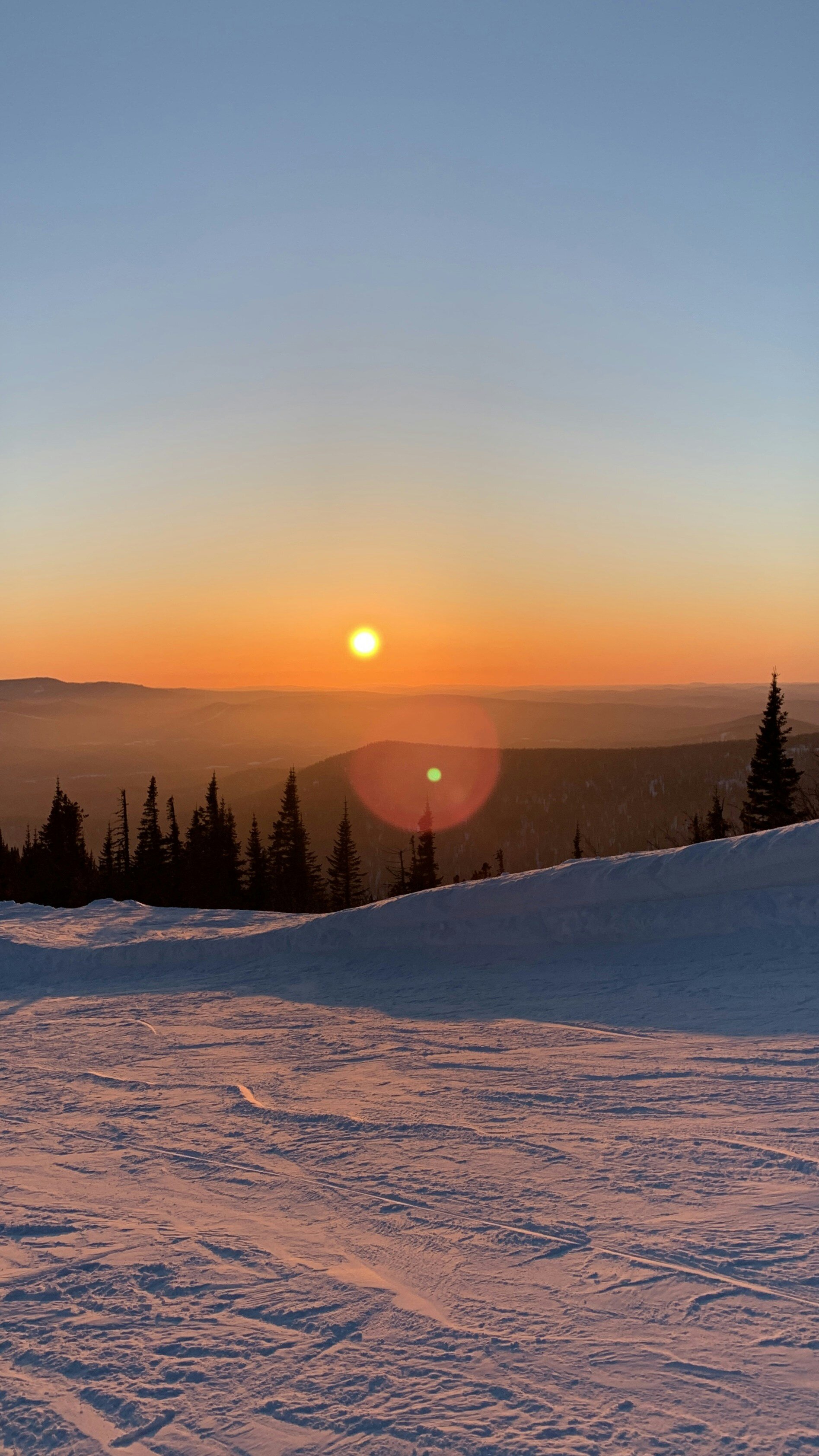 grigory-boyko-Sn_Diw9-tqg-unsplash