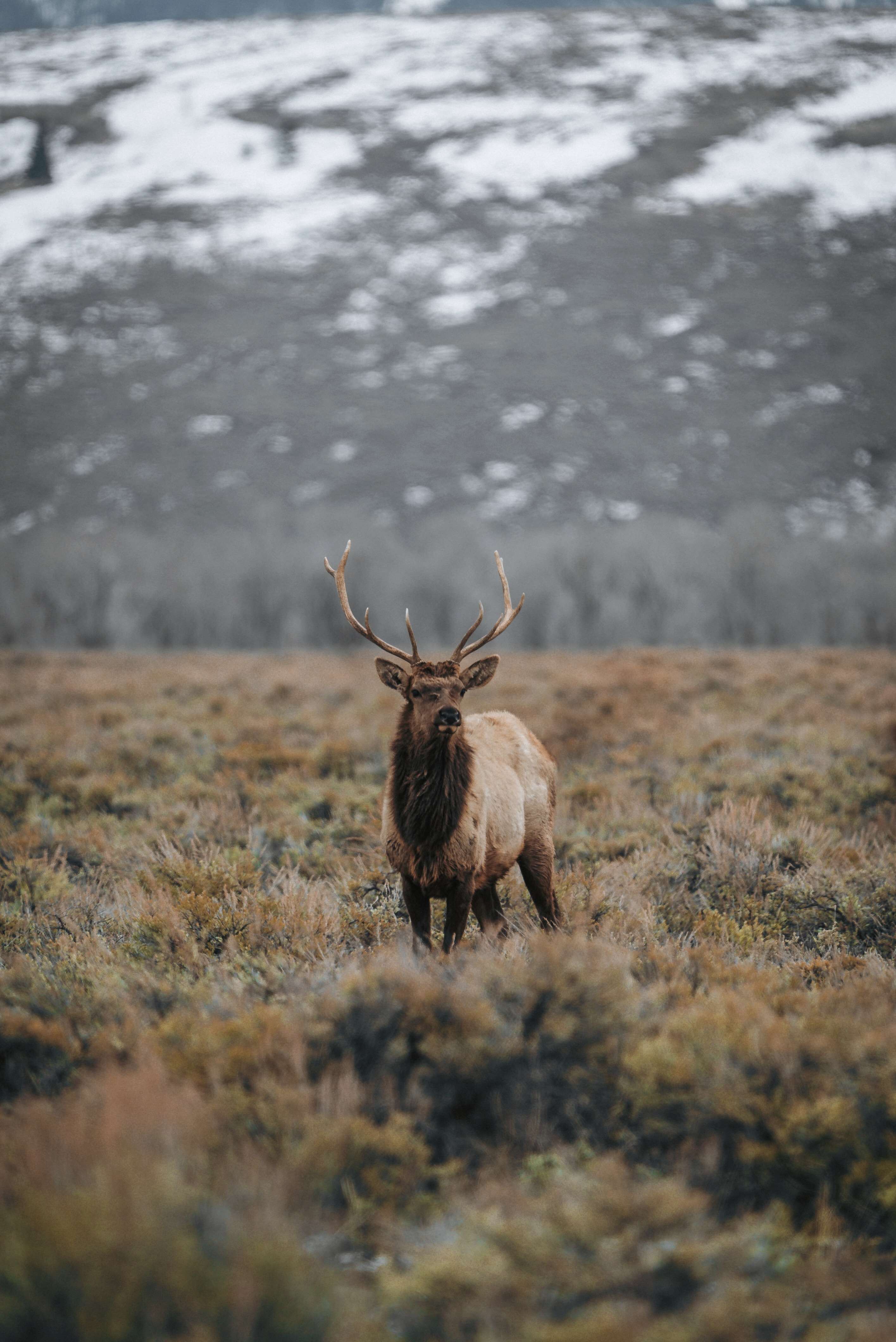 karsten-winegeart-jqVvBbspJx8-unsplash