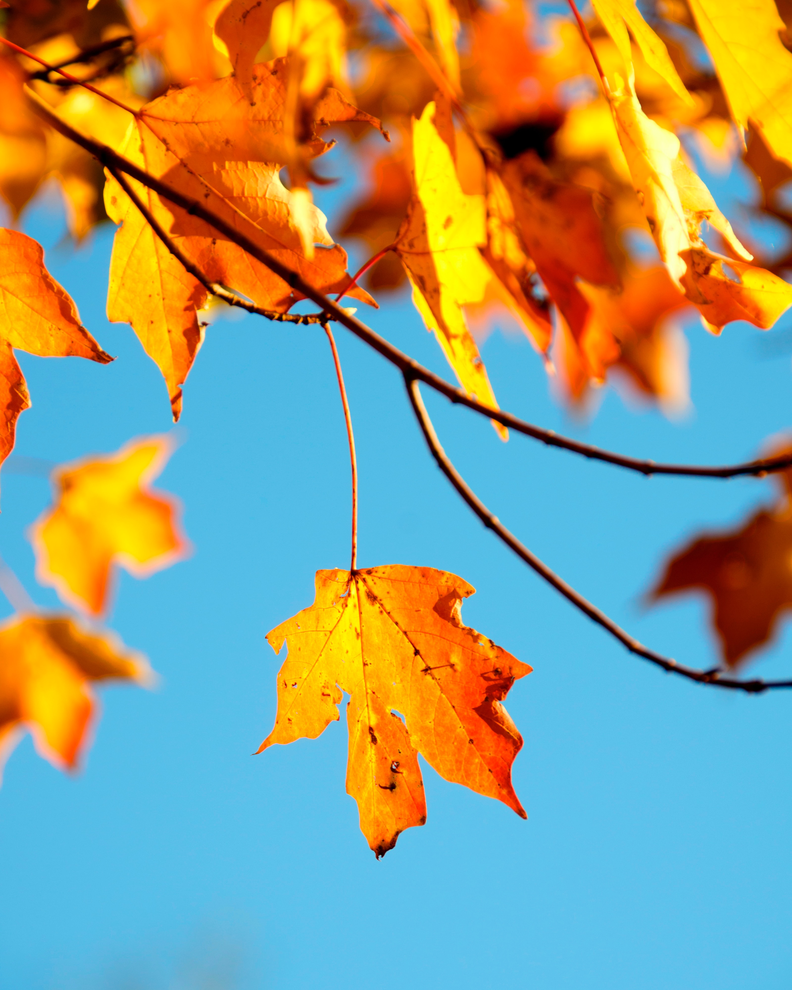 stephen-ellis-nw922fuPb08-unsplash